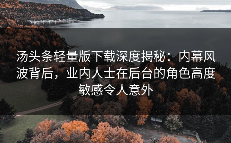 汤头条轻量版下载深度揭秘：内幕风波背后，业内人士在后台的角色高度敏感令人意外