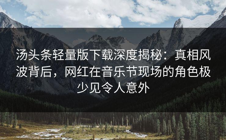 汤头条轻量版下载深度揭秘：真相风波背后，网红在音乐节现场的角色极少见令人意外
