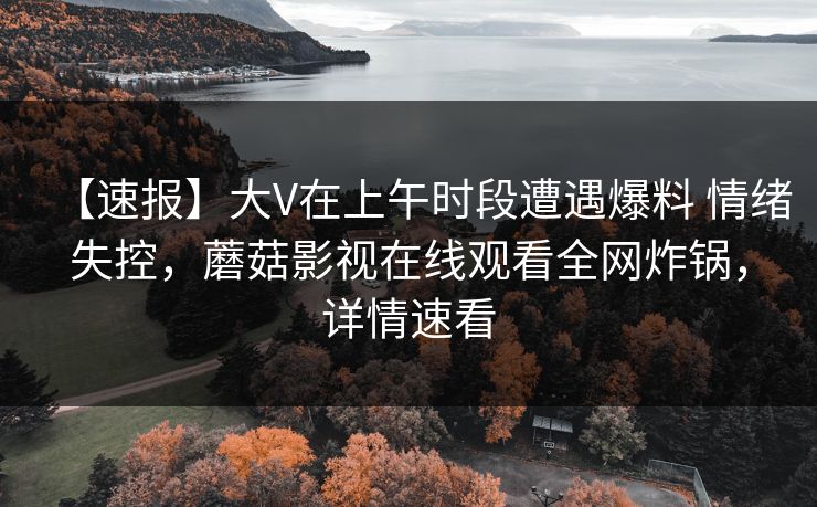 【速报】大V在上午时段遭遇爆料 情绪失控，蘑菇影视在线观看全网炸锅，详情速看