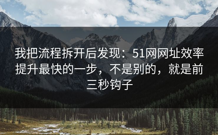 我把流程拆开后发现：51网网址效率提升最快的一步，不是别的，就是前三秒钩子